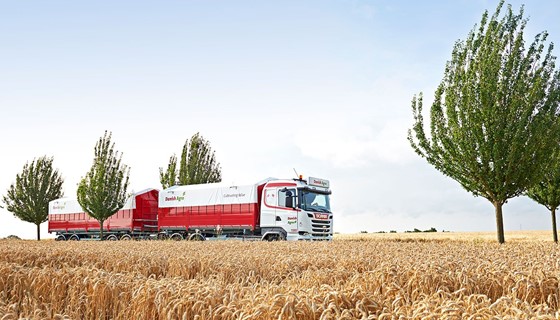 Danish Agro Lastbil Kornmark (1)