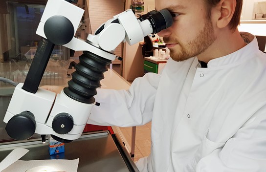 Mads Microscope Corr 01
