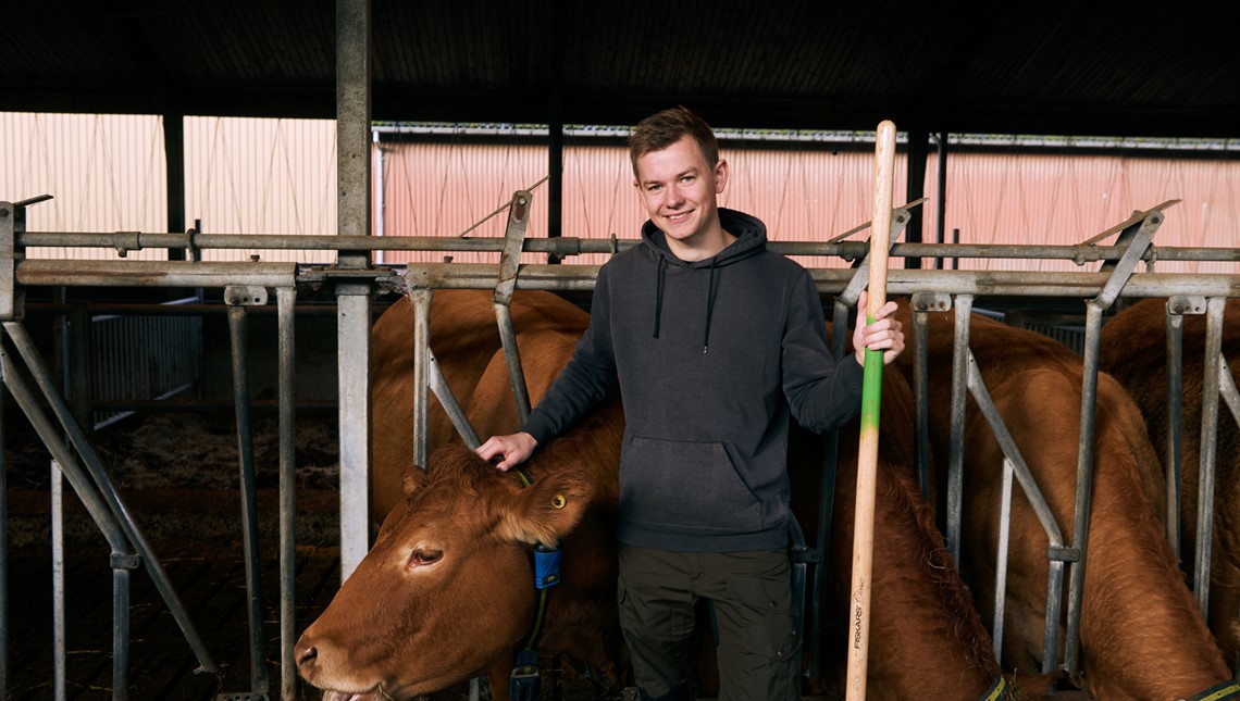 1920 D 02 06 114 Copy