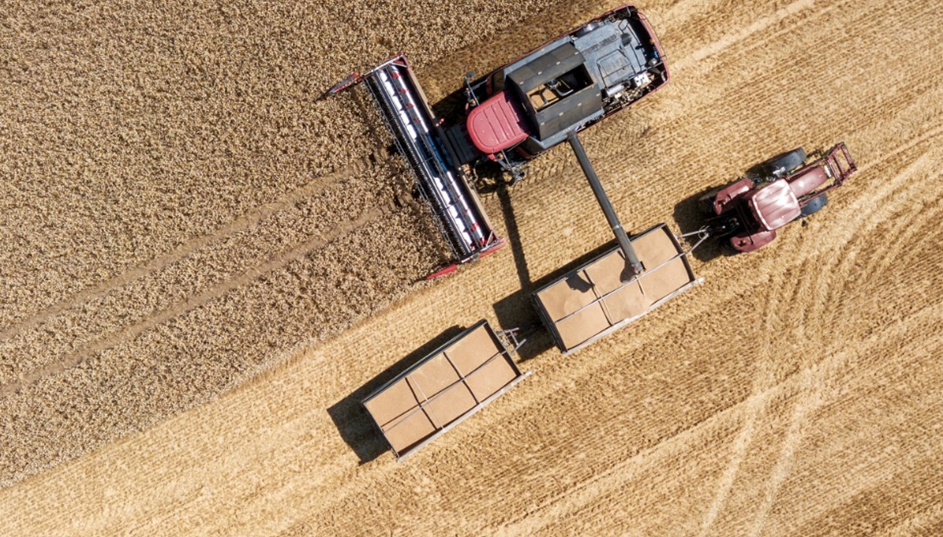 1920 Gettyimages 1007175900