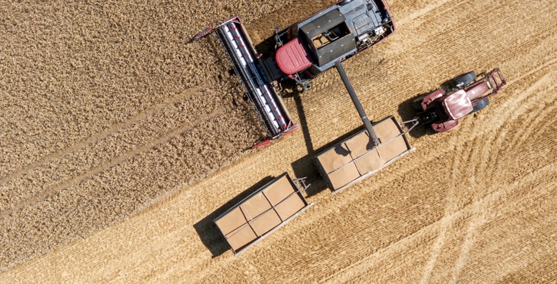 1920 Gettyimages 1007175900