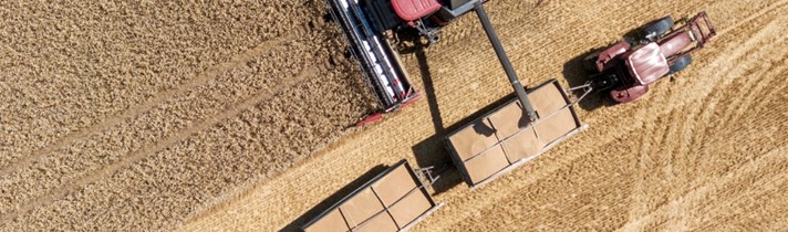 1920 Gettyimages 1007175900