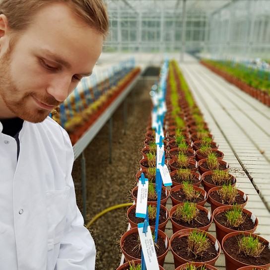 Mads Greenhouse Corr 03