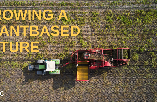 GROWING A PLANTBASED FUTURE