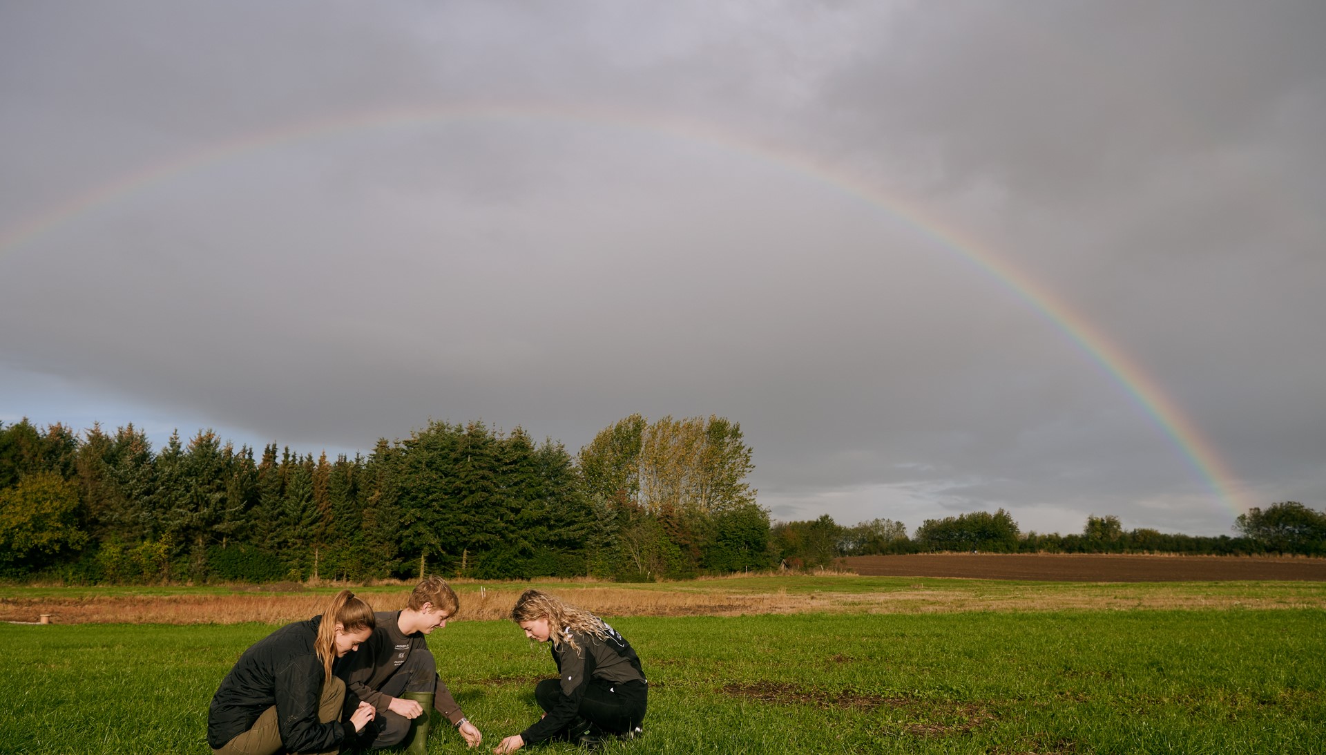 1920 D 03 05 002 Copy