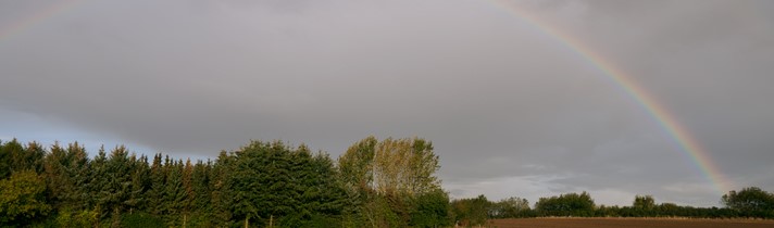 1920 D 03 05 002 Copy