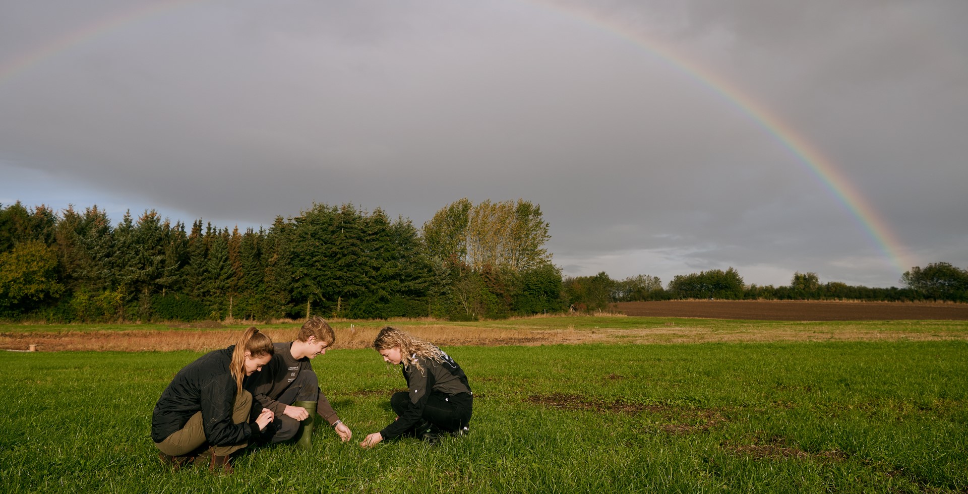 1920 D 03 05 002 Copy