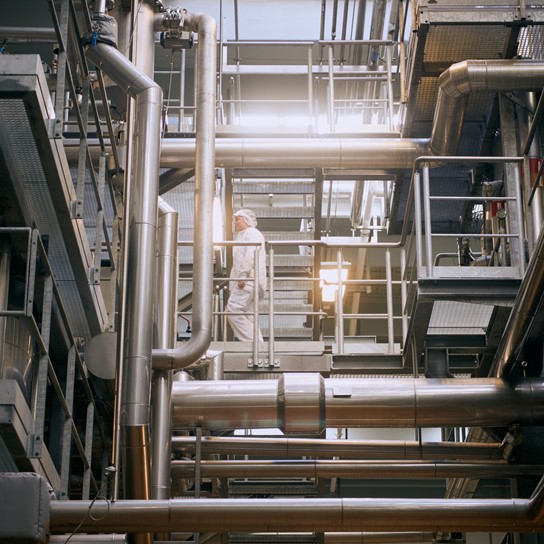 1920 D 02 21 017 Copy