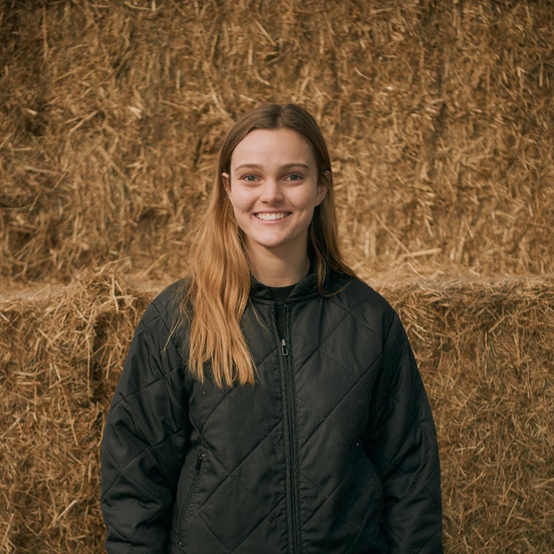 1920 D 03 11 006 Copy