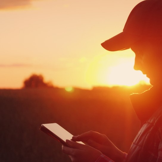 1920 Shutterstock 1112066687